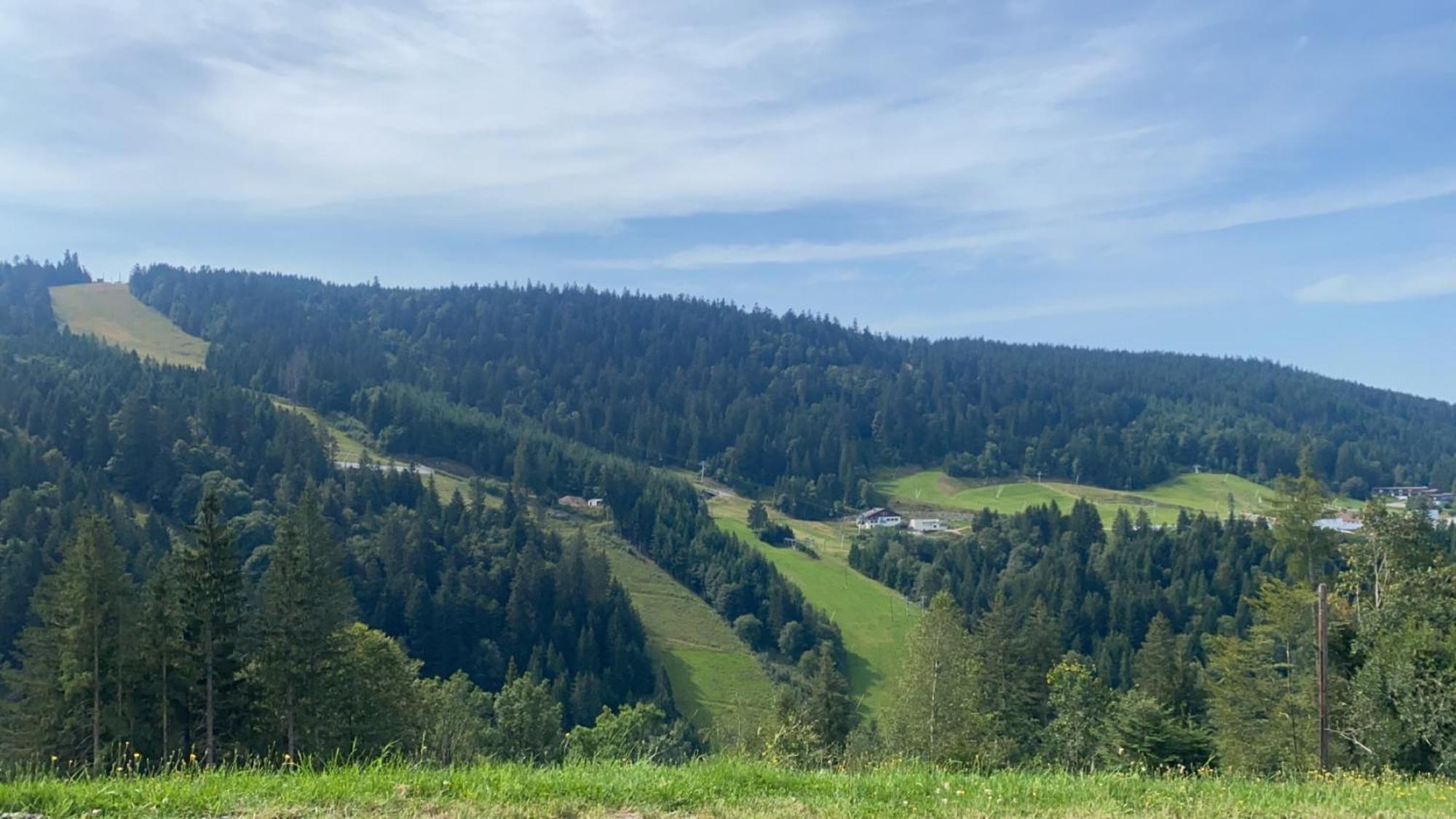 Appartement Sur Les Hauteurs De Gerardmer Ngoại thất bức ảnh